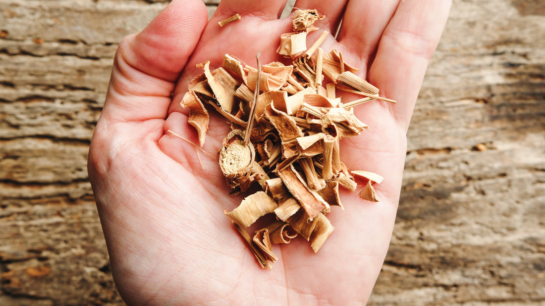 🌿 Catuaba: o ingrediente brasileiro ligado à vitalidade e energia natural